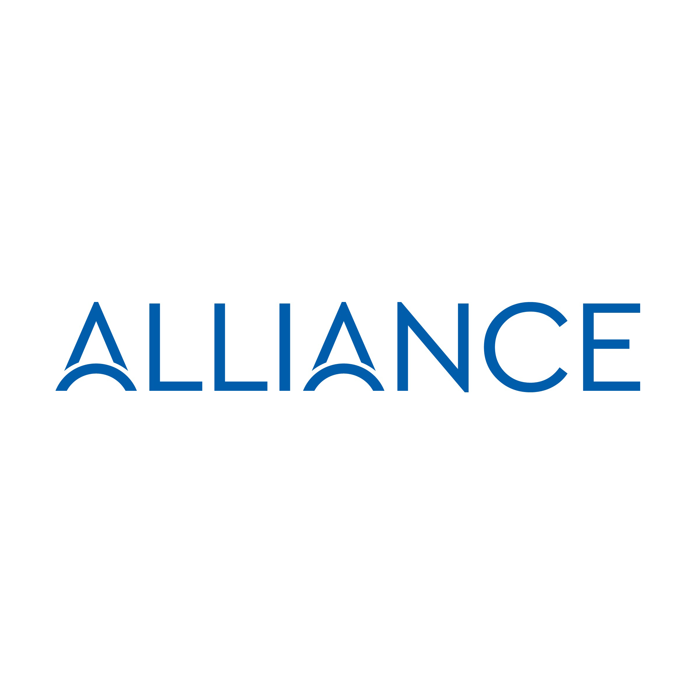 Alliance Financial Services Ltd