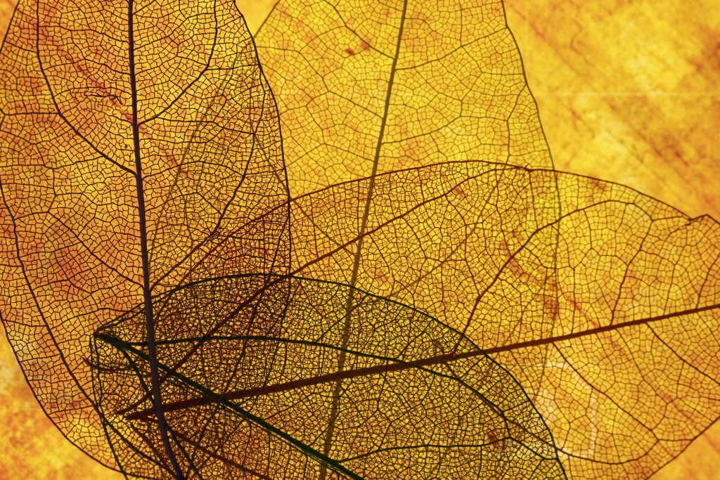 Why becoming an entrepreneur